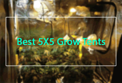 Best Rated 5x5 Grow Tents